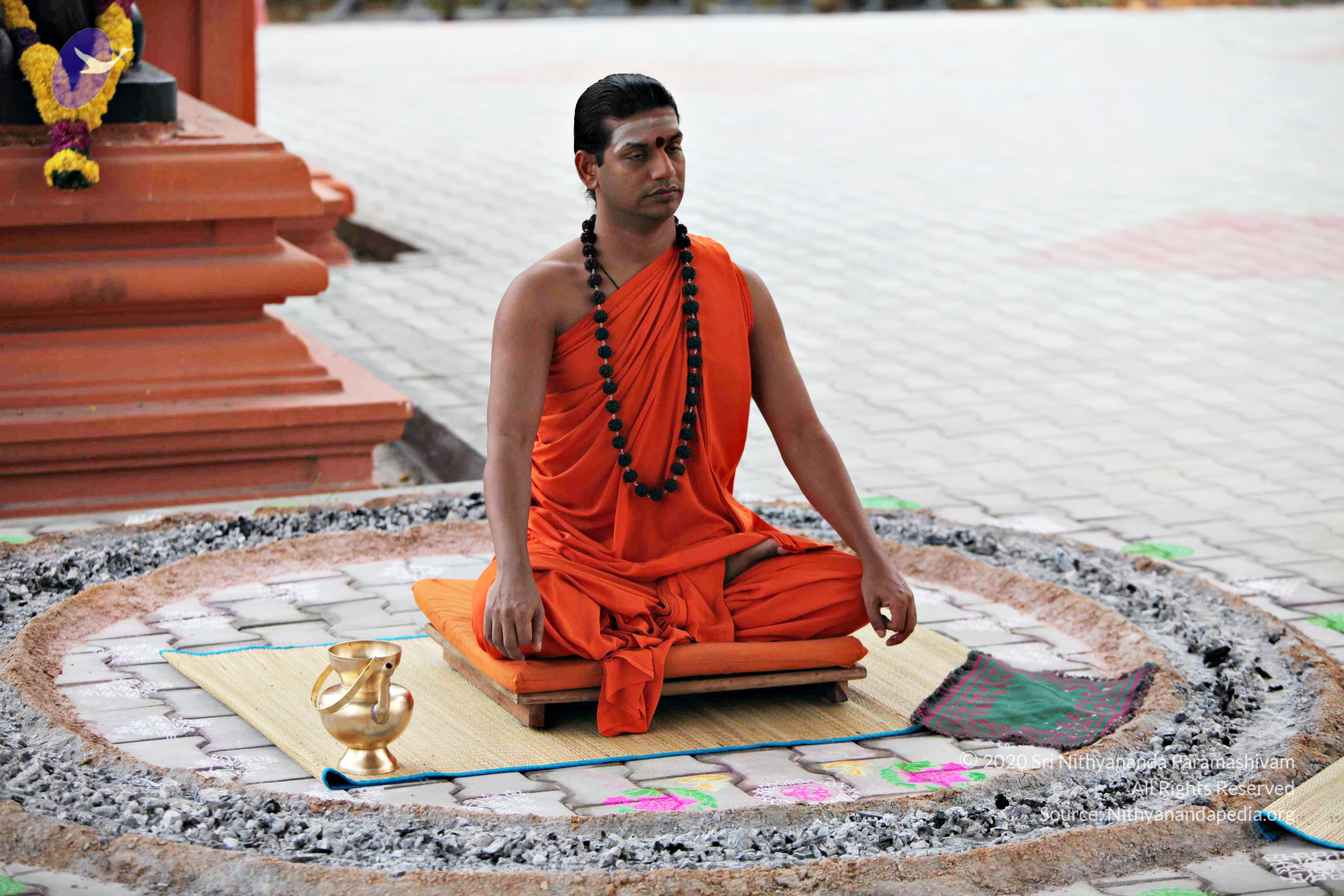 20110225_Photo_1003_IMG_0811_CMP_WM